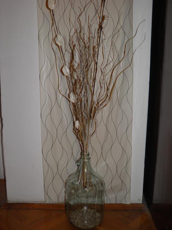 Apartment Nevia A/5 Poreč Dış mekan fotoğraf